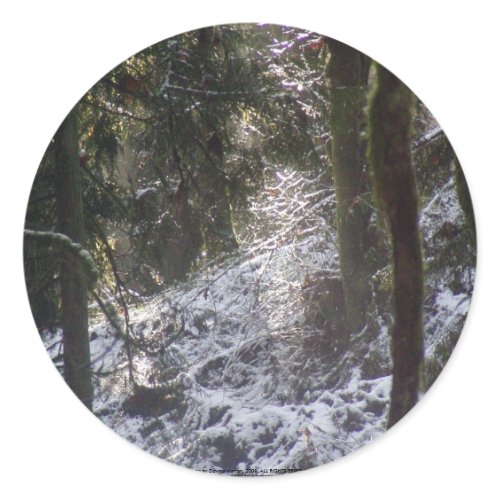 Forest Sun Rays in the Snow #24 sticker