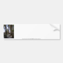 Forest Sun Rays in the Snow #32 Bumper Sticker