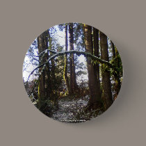 Forest Sun Rays in the Snow #32 buttons