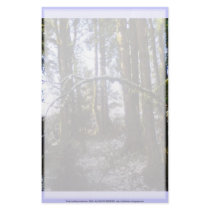Forest Sun Rays in the Snow #32 Stationery Design