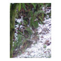 Forest Sun Rays in the Snow #33 print