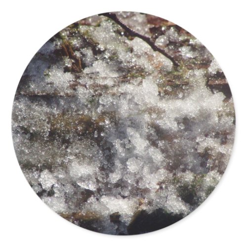 Forest Sun Rays in the Snow #35 sticker