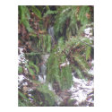 Forest Sun Rays in the Snow #44 print