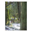 Forest Sun Rays in the Snow #46 print