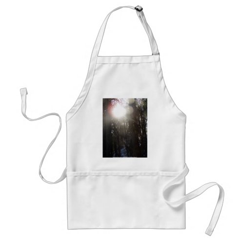 Forest Sun Rays in the Snow #50 apron