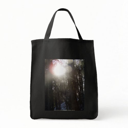 Forest Sun Rays in the Snow #50 bag
