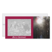 Forest Sun Rays in the Snow #50 photo cards by dlmtleArt Forest Sun Rays in the Snow #50 photo cards