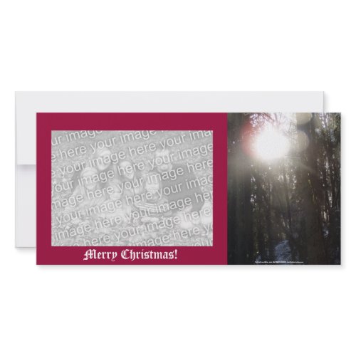 Forest Sun Rays in the Snow #50 photocard
