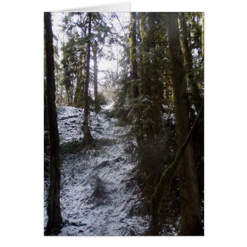 Forest Sun Rays in the Snow #53 card