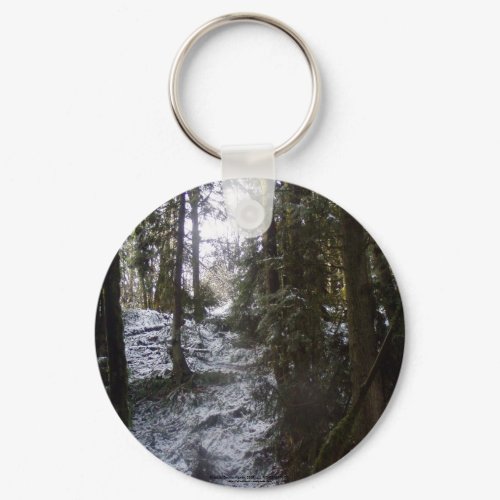 Forest Sun Rays in the Snow #53 keychain