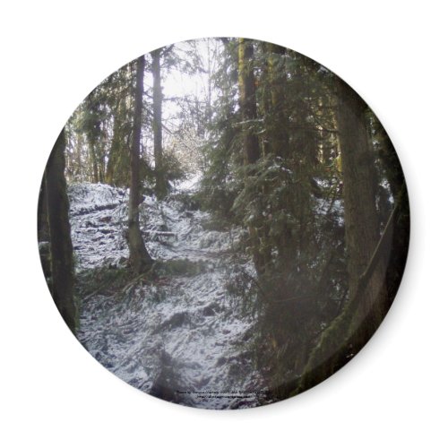 Forest Sun Rays in the Snow #53 magnet