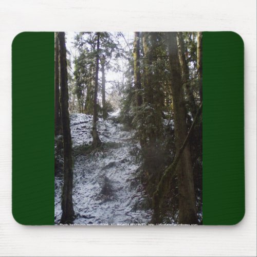 Forest Sun Rays in the Snow #53 mousepad