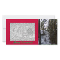 Forest Sun Rays in the Snow #53 photo cards by dlmtleArt Forest Sun Rays in the Snow #53 photo cards