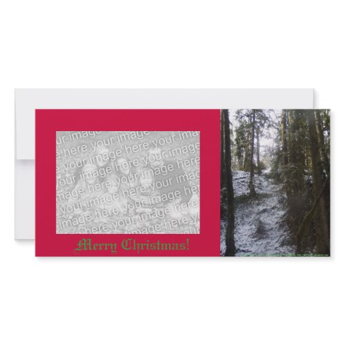 Forest Sun Rays in the Snow #53 photocard