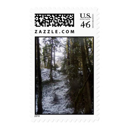 Forest Sun Rays in the Snow #53 stamp
