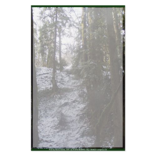 Forest Sun Rays in the Snow #53 stationery