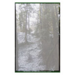 Forest Sun Rays in the Snow #53 stationery