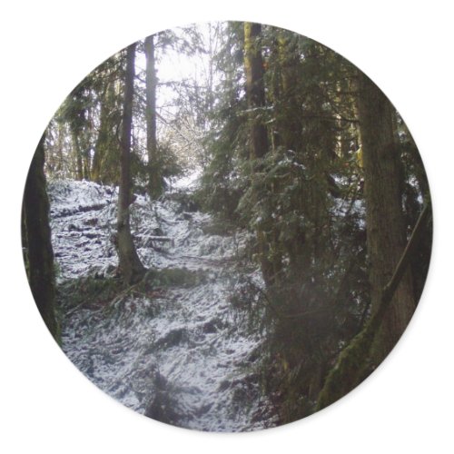 Forest Sun Rays in the Snow #53 sticker
