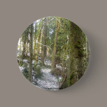 Forest Sun Rays in the Snow #54 buttons