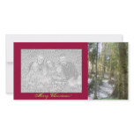 Forest Sun Rays in the Snow #54 photo cards