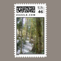 Forest Sun Rays in the Snow #54 postage