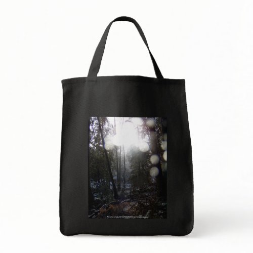 Forest Sun Rays in the Snow #64 bag