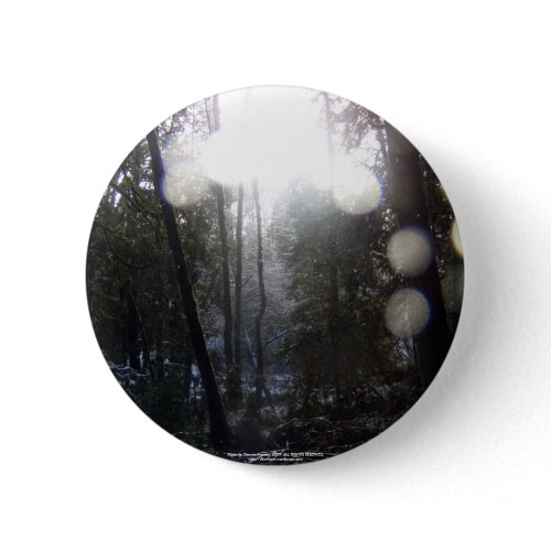 Forest Sun Rays in the Snow #64 button
