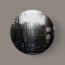 Forest Sun Rays in the Snow #64 buttons