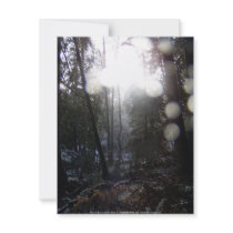 Forest Sun Rays in the Snow #64 invitations by dlmtleArt Forest Sun Rays in the Snow #64 invitations