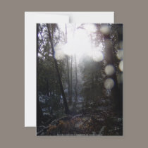 Forest Sun Rays in the Snow #64 invitations