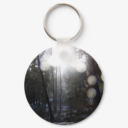 Forest Sun Rays in the Snow #64 keychain