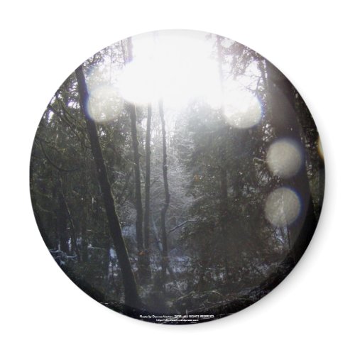 Forest Sun Rays in the Snow #64 magnet