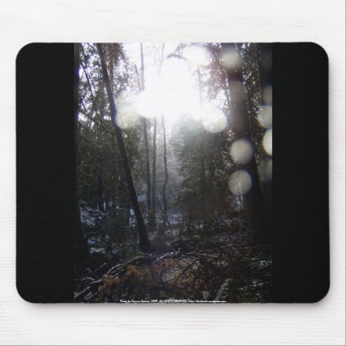 Forest Sun Rays in the Snow #64 mousepad