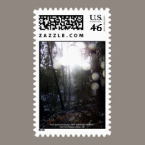 Forest Sun Rays in the Snow #64 stamps