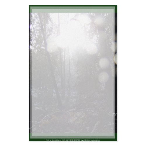 Forest Sun Rays in the Snow #64 stationery