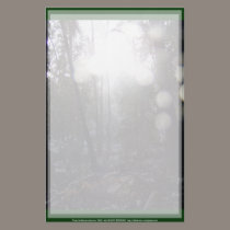 Forest Sun Rays in the Snow #64 stationery