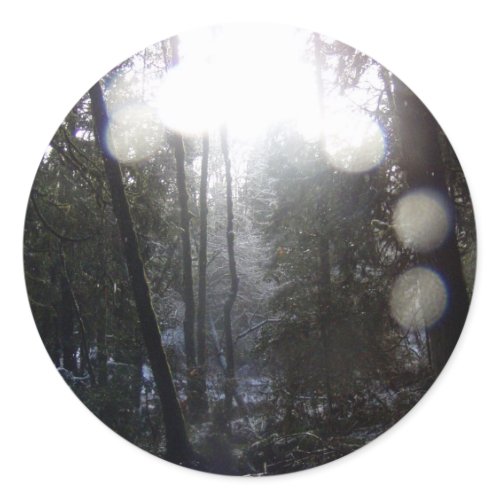 Forest Sun Rays in the Snow #64 sticker