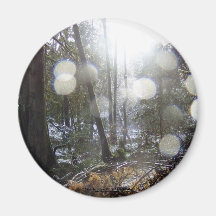 Forest Sun Rays in the Snow # 68 Fridge Magnets