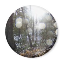 Forest Sun Rays in the Snow # 68 magnets