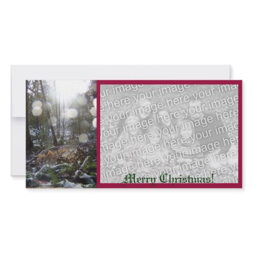 Forest Sun Rays in the Snow #68 photocard