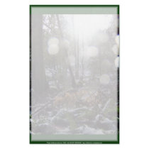 Forest Sun Rays in the Snow #68 stationery