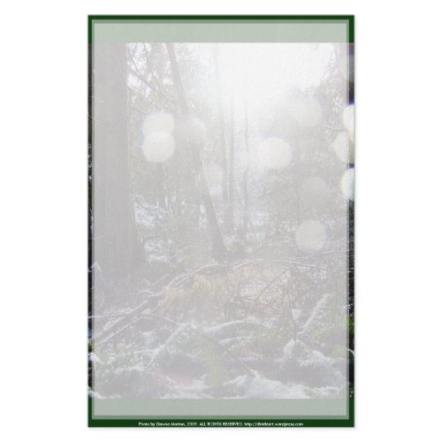 Forest Sun Rays in the Snow #68 stationery