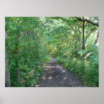 Forest Sunlight Print