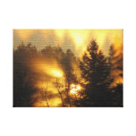 FOREST SUNRISE STRETCHED CANVAS PRINT