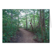 Forest Trail Blank Greeting Card