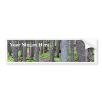 Forest Trail bumper stickers