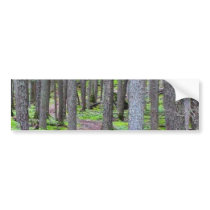 Forest Trail bumper stickers by lifesphere Forest Trail bumper stickers