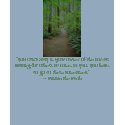 Forest Trail t-shirts by energyhands Forest Trail t-shirts