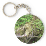 Forest Tree Growth Keychains