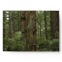 FOREST TREES Greeting Card Envelope